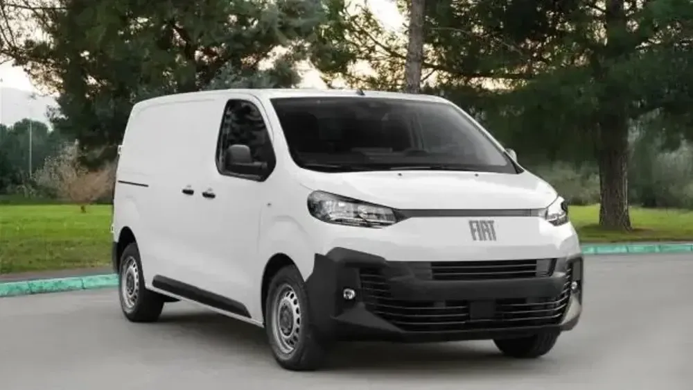 scudo-34.webp