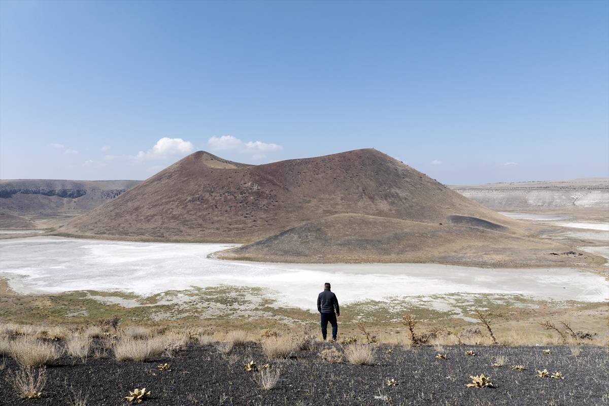 aa-20261014-42749556-42749531-meke-golunun-gorunmeyen-yasami-laboratuvar-ortaminda-korunuyor.jpg