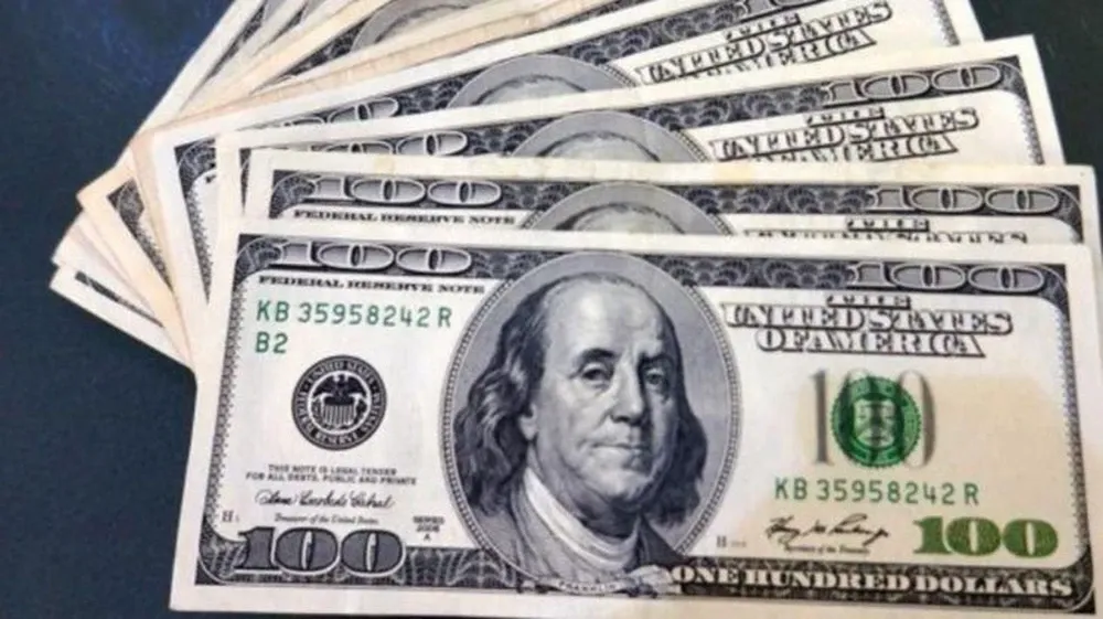 dolar-1.webp