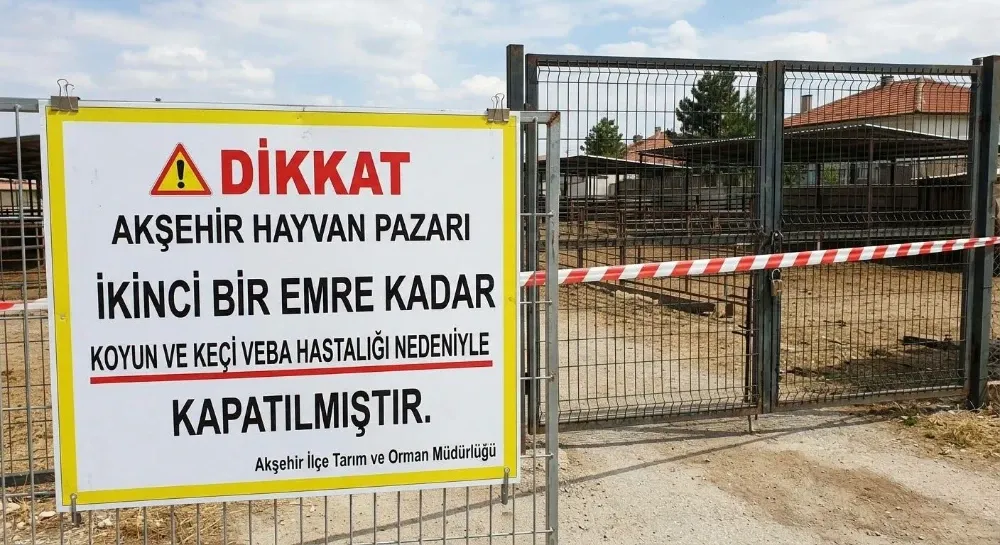 aksehir-hayvan-pazari.webp