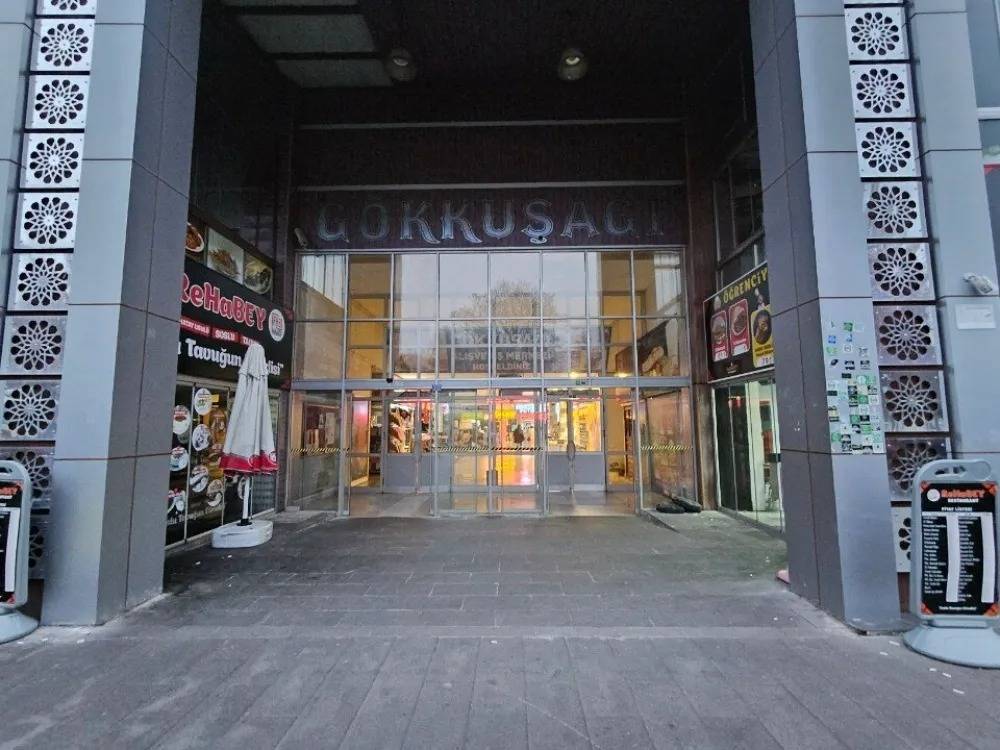 gokkusagi-1.jpeg