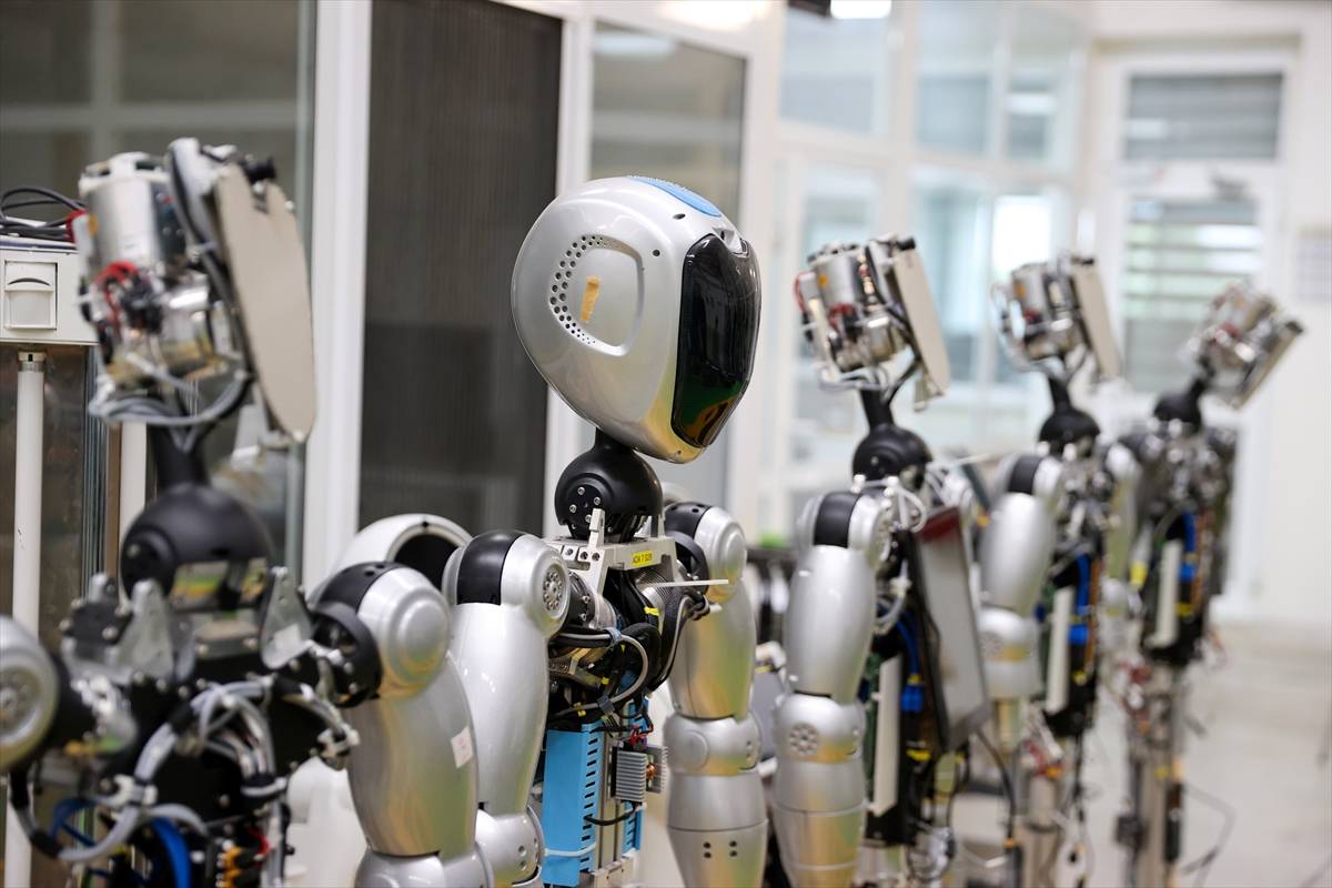 insansi-robot-2.jpg