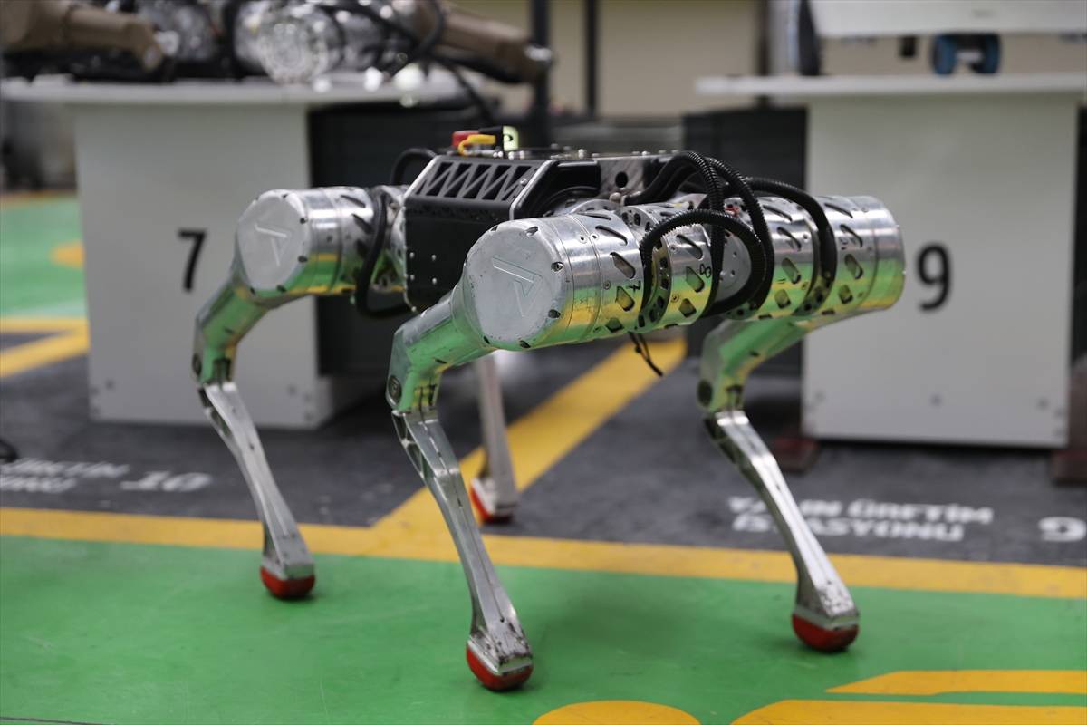 insansi-robot-4.jpg