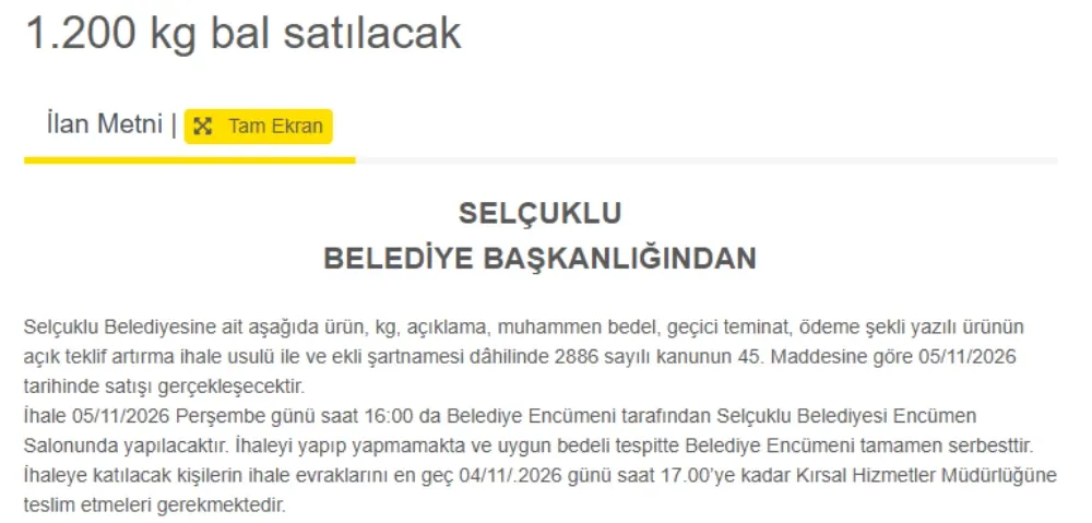 bal-2.webp