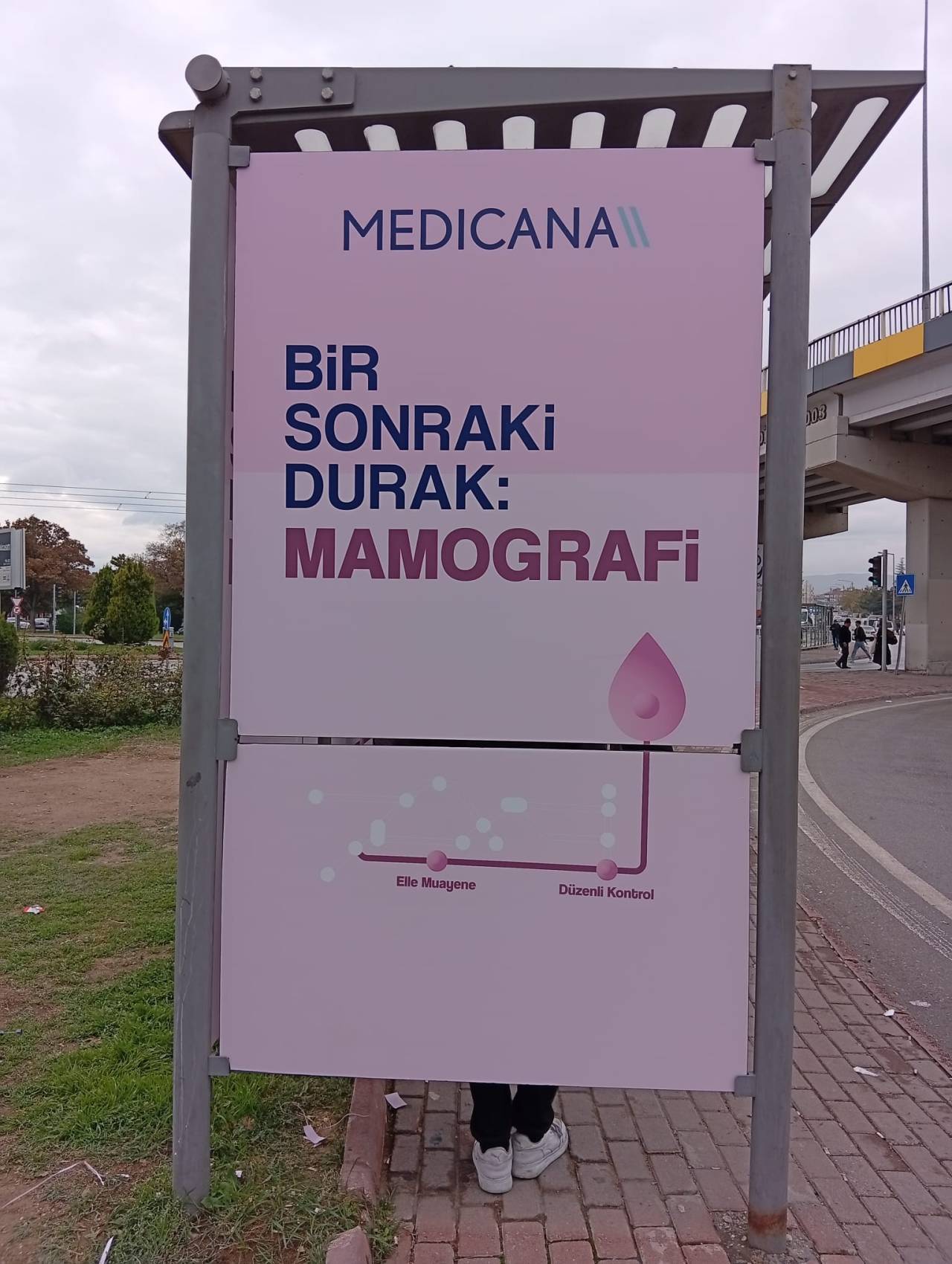 pembe-durak-2.jpeg