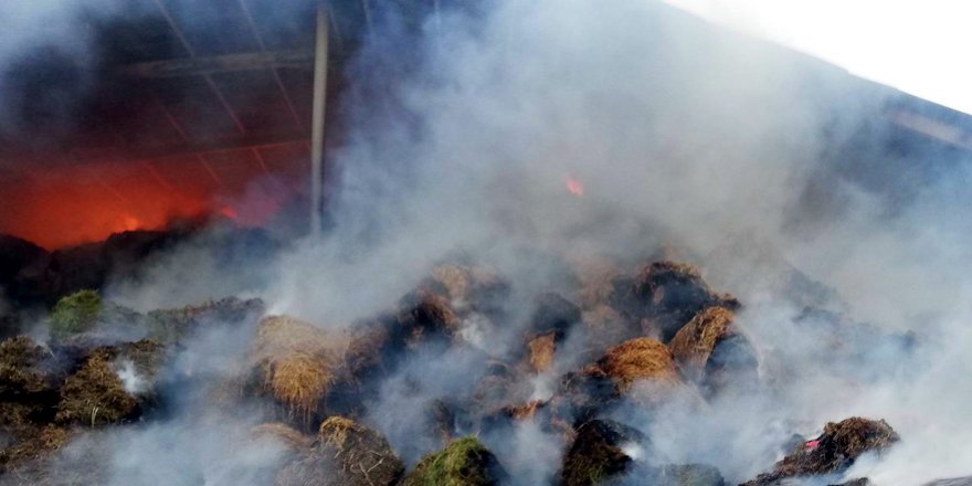 Konya'da besi çiftliğinde yangın