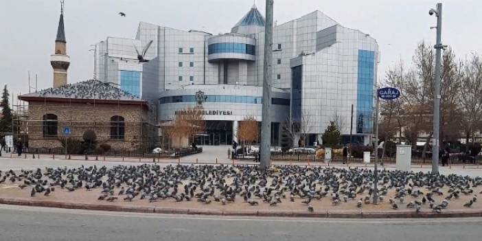 Konya'da güvercinler kameraya yansıdı