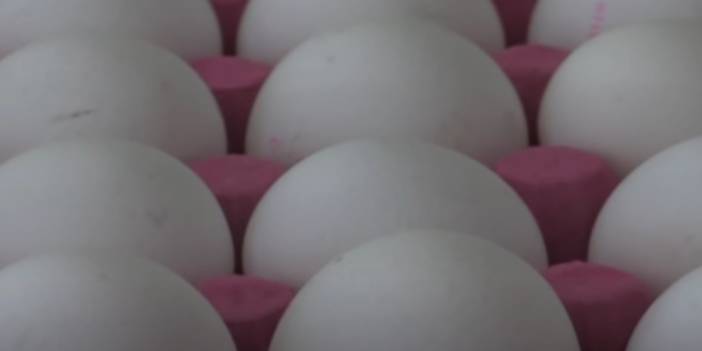 Bozuk Yumurta Nasıl Anlaşılır ?