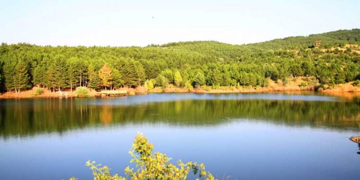 Türkiye'nin ilk milli parkı - Yozgat Çamlığı Milli Parkı